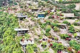 江边“垃圾场”变身生态园——南岸铜锣花谷诞生记图片