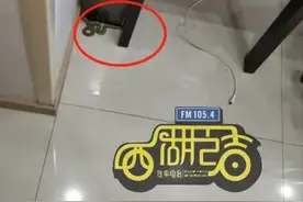 今天，有一条蛇爬上了杭州某小区的六楼图片