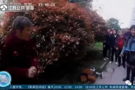 太可怕！爸爸送大宝上学，独自在家的二宝从6楼坠楼图片