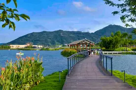 福建云霄：南湖春色“疫”后花开图片