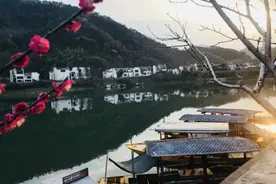 夜宿观澜 山房听涛图片