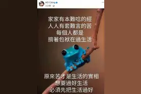 新加坡总理夫人PO蛙蛙照 1450玻璃心碎呱呱叫图片