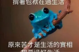 新加坡总理夫人PO蛙蛙照 1450玻璃心碎呱呱叫图片