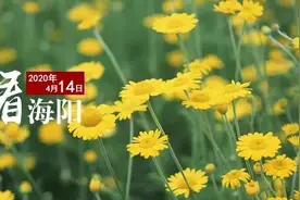 今天海阳发生了这些新闻，你知道吗？图片