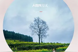 「诗歌欣赏」已是人间四月天 文/房照远图片
