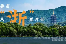 阿里“春雷计划”全国落地 京沪粤浙比“第一”图片