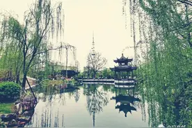 高邮，美得无需滤镜图片