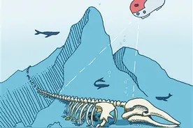 一头鲸的死亡 造就了一个深海生态系统图片