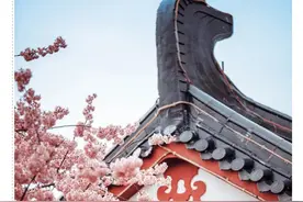 约起来！不负春光云赏花图片