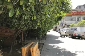 「文明创建红黑榜①」从“脏乱差”到“洁净美”，距离有多远？图片