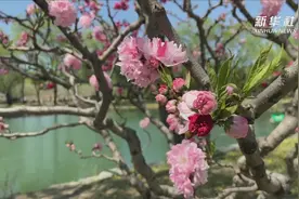 人间四月天 邂逅颐和园视频封面