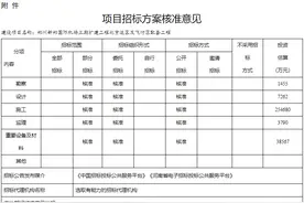 总投资46.24亿元！新郑国际机场三期扩建工程可行性报告获批图片