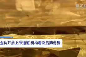 中国财富报道|金价开启上涨通道 机构看涨后期走势视频封面