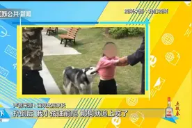 湖南：哈士奇咬女孩不松口，小区保安持棍棒打死，狗主人仍未找到视频封面