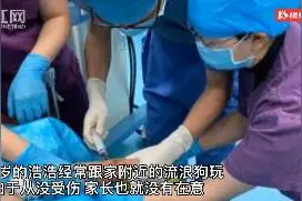 孩子被狗咬 父子齐打针 医生提醒：警惕动物发情期“翻脸不认人”图片