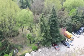 对不起，我错了图片