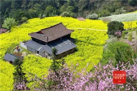 跟着镜头品诗词｜春日里的诗情画意图片