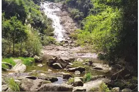 马峦山郊野公园的凉亭和座椅开始认捐了图片