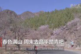春色满山 周末去昌平踏青吧视频封面