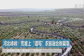 河北峰峰：荒坡上“谱写”农旅融合新篇章视频封面