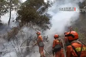西藏林芝森林火灾：过火面积7平方公里 救援力量超2600人图片