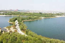 用“真功夫”“绣”出七彩垦利图片