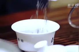 非遗传承人教你如何分辨正宗金骏眉视频封面