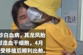 龙凤胎弟弟捐干细胞救白血病姐姐：特意没喝水，想把最好的干细胞给她图片