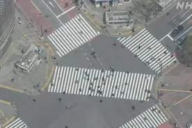日本“佛系封城”为何失败？部分地区人口流动减少量未过半图片