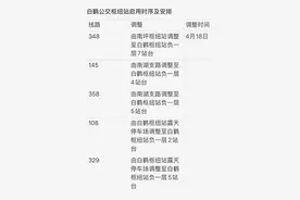 南坪白鹤公交枢纽站18日启用，这些线路有调整图片