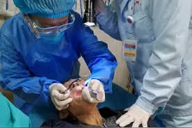 老人假牙卡喉，济医附院医疗团队60秒内取出图片