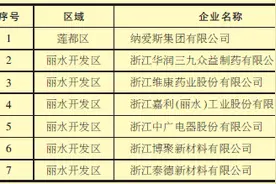 2019年度丽水市生态工业光荣榜图片