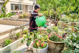 嘉兴嘉北街道居民播撒春日新绿，让家园成为“花花世界”图片