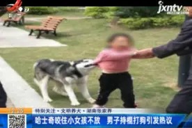 湖南张家界：哈士奇咬住小女孩不放 男子持棍打狗引发热议视频封面