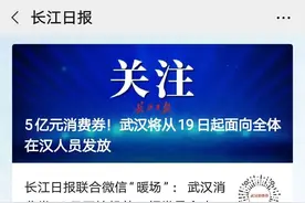 领的武汉消费券在哪儿用？哪些商户可以参与？最全指南来了图片