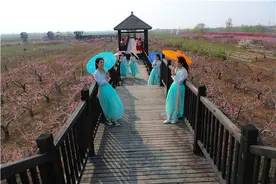 游客流连忘返“桃花源”图片