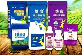 那些你不知道的土壤秘密图片