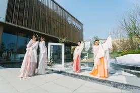 古筝独奏、人面桃花，在绿地柏仕晶舍看见美好图片