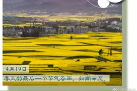 今日谷雨冲鸭！热烈的夏天就要来了图片