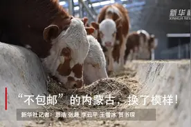 “不包邮”的内蒙古，换了模样！视频封面