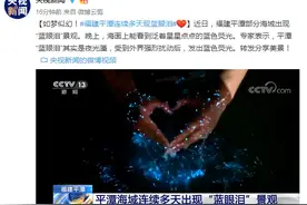 如梦似幻！福建平潭连续多天现蓝眼泪图片