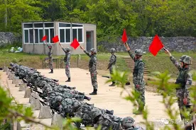 热点｜火力全开！某陆航旅带你全方位了解子弹如何出膛……图片