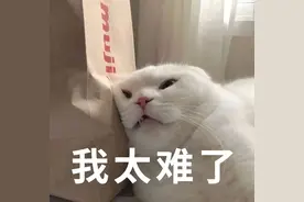 日本眼科协会力荐的“蓝光过滤器”，每天2粒，眼干眼涩眼疲劳都拜拜图片