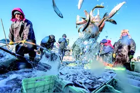 大湖之殇：如何拯救内蒙古高原内陆湖图片