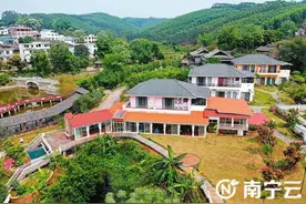 南宁市修订特种行业治安管理条例 民宿业等拟纳入监管图片