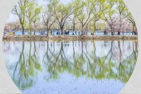苏煜咏春作品十首：旖旎风光无限好，婆娑烟雨遍畴茵图片