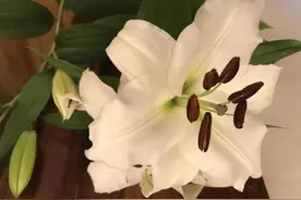 第三百一十七期 一缕思念寄夜雨 两世重隔眼朦胧图片