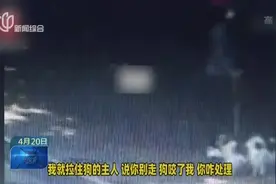 “我家狗狗打过疫苗”！狗咬伤人，主人竟如此不厚道，拔腿就跑！视频封面