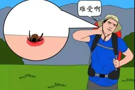 野外归来后发热、头痛、呕吐、腹泻这是肿么了？小心是……图片