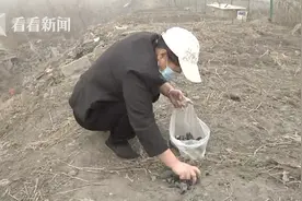 农民地里翻出怪石后身体不适 专家排除陨石可能图片